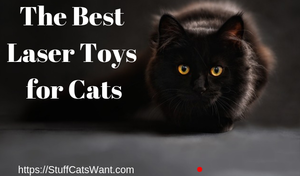 a cat looking at a laser dot with text that says the best cat laser toys