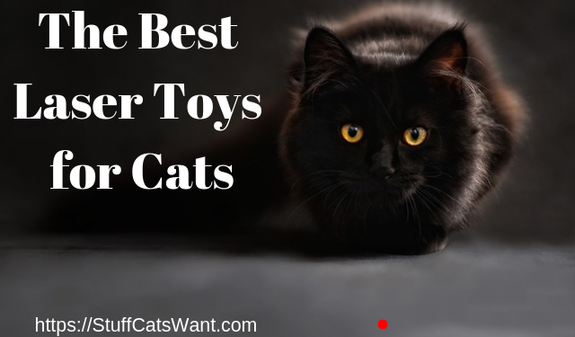 best cat laser toy