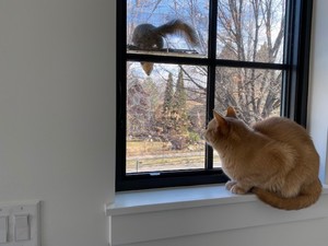 Duke checking out Stan the Squirrel