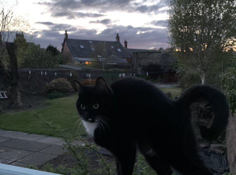 Billbert on the balcony railing