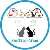 cats dreaming of toys and food